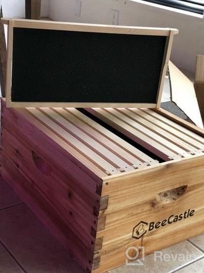 img 1 attached to Build Your Own Beehive: Unassembled Langstroth Deep/Brood Box Kit With Wax Coated Frames And Foundation Sheets review by Chris Russell
