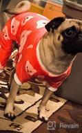 img 1 attached to Cute And Cozy: Red Striped Dog Hoodie With Hat By CuteBone DH01S review by Michael Duman
