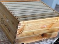 img 1 attached to Build Your Own Beehive: Unassembled Langstroth Deep/Brood Box Kit With Wax Coated Frames And Foundation Sheets review by Joe Martin