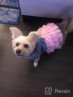 img 1 attached to 👗 QingLuo Sweet Puppy Dog Princess Dress - Pink/Purple Bow Lace Tutu Skirt - Doggie Dress for Dog/Cat (X-Small, Purple) review by Jeff Jackson