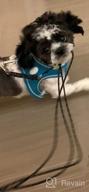 img 1 attached to Breathable Mesh Harness For Small And Medium Dogs With Reflective Soft Padding - Joytale Step-In Harness In 12 Colors (Teal, L) review by Marcus West