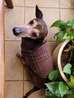img 1 attached to Tangpan Turtleneck Classic Straw-Rope Pet Dog Sweater Apparel (Pink,S) review by Alex Marshall