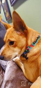 img 8 attached to BRONZEDOG Нейлоновый ошейник для собак - регулируемый цветочный узор для девочек для средних, больших и маленьких собак (S, 10"-13", белый с бабочкой)