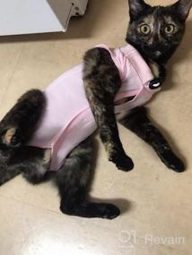 img 6 attached to Cat And Dog Surgical Recovery Suit With E-Collar Alternative - Professional Abdominal Wound Protection And Comfortable Onesie Pajama For Post-Surgery Pets, Ideal For Cats