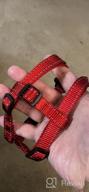 img 1 attached to CollarDirect Reflective Dog Harness Step In Small Medium Large For Outdoor Walking, Comfort Adjustable Harnesses For Dogs Puppy Pink Black Red Purple Mint Green Orange Blue (Medium, Mint Green) review by Jason Wilson