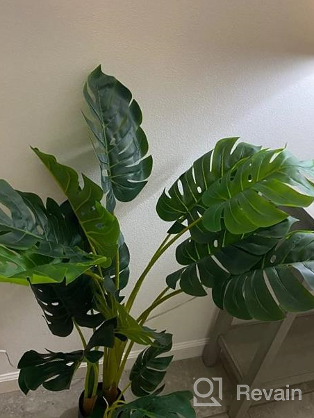 img 1 attached to Artificial Swiss Cheese Plant - 4Ft Tall Monstera Deliciosa With 15 Split Leaves - Faux Tropical Monstera Palm Tree For Home, Office, Store, Garden Floor Decor - Set Of 2 review by Lyle Stepp