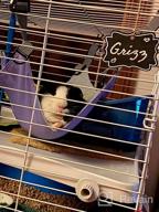 img 1 attached to 🐹 Cozy Hangout: Homeya Small Animal Guinea-Pig Hanging Hammocks Bed - Perfect for Ferrets, Cats, Rats, Chinchillas, Hamsters, and More! review by Michael Montgomery