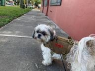 img 1 attached to Tactical Military Dog Harness With Vertical Handle And Durability For Small Puppies - XS (Neck: 11"-17", Chest: 15"-22") review by David Miller