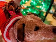 img 1 attached to XX-Large Red Santa Claus Riding Dog Costume For Christmas Party Outfit - Lewondr Pet Apparel review by Philip Wagner