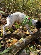 картинка 1 прикреплена к отзыву Joytale Dog Harness Step-In Mesh Vest, 12 Colors, Reflective Padded Harnesses For Small And Medium Dogs, Red Size L. от Jose Ballard