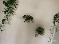 картинка 1 прикреплена к отзыву Набор Orz из 3 складных колец-держателей для цветочных горшков для настенного дисплея растений черного цвета от Braden Bowers