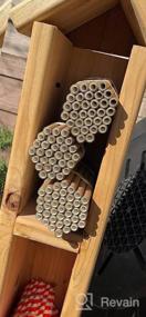 img 5 attached to 6 Inch Mason Bee Nesting Tube Refills Inserts For Outdoor And Garden Bee Houses - 200 Pieces Cardboard Replacement Tubes By ELCOHO