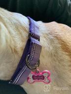 img 1 attached to Stay Safe And Stylish: Large Hyhug Pets Reflective Martingale Collar For Giant Breeds review by Mike Barnett