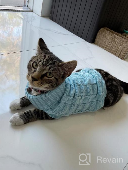 img 1 attached to Cozy Up Your Feline Friend With Our Turtleneck Cat Sweater – Perfect For Kitty, Chihuahua, Teddy, Poodle, Pug And Small Dogs! review by Justin Bishop