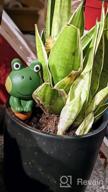img 1 attached to Set Of 4 KiKiHeim Terracotta Frog Self-Watering Spikes For Indoor Plants - 3.7 Oz Top-Fill Watering Globes review by Cesar Cook
