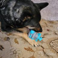 img 1 attached to Potaroma Dog Chew Toy For Aggressive Chewers, Catch Ropes Interactive Puppy Rubber Toothbrush Molar Toy, Durable And Tough Dog Teeth Cleaning Toy Dental Care For Small Medium Large Breeds review by David Richardson