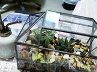 img 1 attached to 🌿 Ferrisland Glass Plant Terrarium Container: Perfect Small Succulent Wardian Case for Indoor Tabletop Decor & DIY Gifts - 5.0"x4.3"x4.3 review by Douglas Coronado