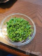 img 1 attached to Vibrant And Lively: Japanese Tissue Culture Hydrocotyle Tripartita For Your Freshwater Aquarium review by Patrick Hamilton