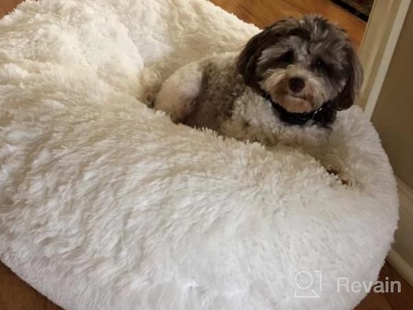img 1 attached to Bessie And Barnie Plush Faux Fur Bagel Dog Bed - Waterproof Lining & Washable Cover - Circular Calming Dog Bed In Multiple Sizes & Colors review by Scott Maddocks