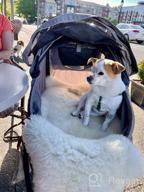 img 1 attached to Hauck Tog Fit Pet Roadster - Perfect For Traveling With Your Furry Friend! review by Paul Haswood