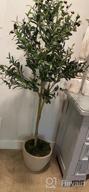 img 1 attached to Artificial Olive Tree - 5.25Ft Tall Faux Potted Silk Tree With Planter, Large Olive Branch And Fruit Decoration, Indoor Home Decor For Modern Living Spaces, 1032 Leaves review by Jared Gopalan