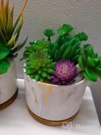 img 1 attached to Stylish And Practical Ceramic Succulent Planters With Drainage Tray - Set Of 4 By DeeCoo review by Roy Niemeyer