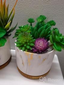 img 6 attached to Stylish And Practical Ceramic Succulent Planters With Drainage Tray - Set Of 4 By DeeCoo