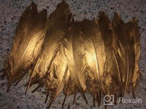 img 8 attached to Sowder Natural Goose Feathers Clothing Accessories Pack Of 50 (Gold Dipped White)