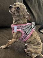 img 1 attached to Pink XS Dog And Cat Harness With Leash - Escape Proof, Reflective, And Comfortable Fit For Small To Medium Pets review by Erick Roby