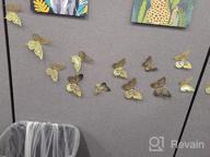 img 1 attached to 🦋 SAOROPEB 3D Butterfly Wall Decor Set - 48 Pcs in 4 Styles & 3 Sizes - Butterfly Birthday, Party & Cake Decorations - Removable Gold Butterflies in Black review by Mike Messerly