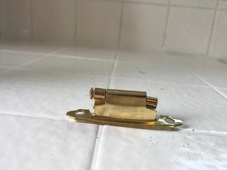 img 1 attached to 🔧 Goldenwarm Face Mount Self Closing Kitchen Cabinet Hinges - Brass Cabinet Hinges with Variable Overlay (SCH30BB-10Pair) review by Chris Bailey
