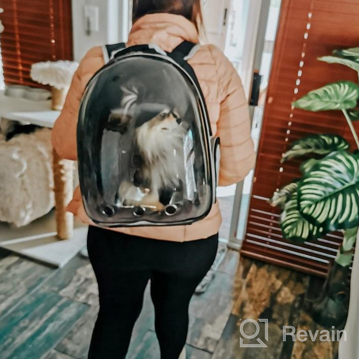 img 1 attached to XZKING Transparent Space Capsule Pet Carrier Bag – Cat Backpack Carrier with Bubble Design, Airline Approved Travel Carrier for Small Dogs, Cats, Puppies – Outdoor Use Hiking Backpack, Red Color review by Matt Tito