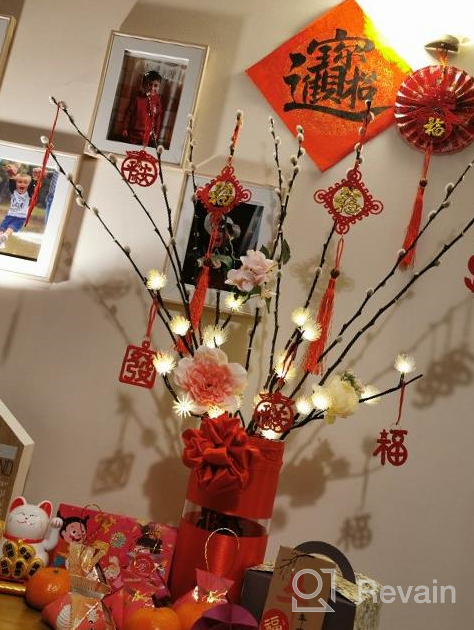 img 1 attached to Transform Your Space For The Chinese New Year With 46-Piece Traditional Decorations Set review by Tony Buckley