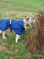 картинка 1 прикреплена к отзыву Водонепроницаемый плащ для собак с регулируемым ремнем для живота, плащ с капюшоном и отверстием для поводка Легкий дышащий пончо от дождя от Dejuan Stott