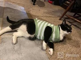 img 2 attached to Soft And Warm Striped Sweaters For Cats And Small Dogs - High Stretch Knitwear For Male And Female Kitties