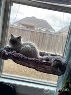 img 1 attached to Sturdy And Safe Window Cat Hammock With Heavy Duty Suction Cups For Resting And Perching, Holds Up To 30Lbs, Plus 2 Extra Suction Cups Included - NOYAL review by Ryan Rea