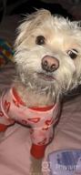 img 1 attached to ❤️ KYEESE Valentine's Day Dog Pajamas: Pink Heart Patterned PJs for Small Dogs - Soft, Stretchable Velvet Onesie for Holiday Comfort review by Jeff Zamora