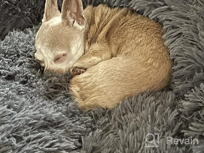 img 1 attached to Topmart Plush Calming Dog Bed: Washable Cat Donut Bed For Small Dogs & Cats - Anti-Anxiety Faux Fur Donut Cuddler - 30" × 30" Beige review by Melvin Boss