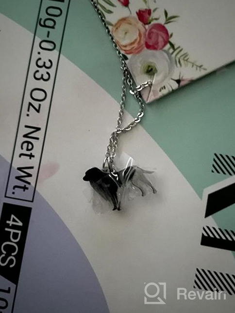 img 1 attached to 🐶 JoycuFF Labrador Retriever Dog Necklace: Personalized Silver Pendant for Dog Lovers - A-Z Initial Letter Charms review by Andrew Patel