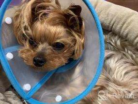 img 7 attached to Adjustable Small Dog Cone – Lightweight Elizabethan Collar For Post-Surgery Recovery (Blue)