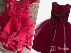 img 6 attached to Weileenice Princess Christmas Dress: Lace Flower Girl Wedding Prom Pageant Birthday Party Tutu Tulle Dresses