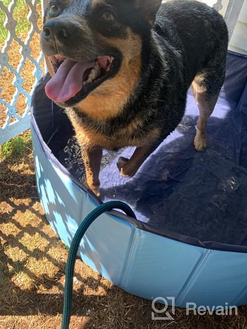 img 1 attached to Collapsible Dog And Pet Pool - 48Inch.D X 11.8Inch.H - Perfect For Bathing Dogs, Cats, And Kids - Foldable And Portable - Blue By Jasonwell review by Brian Wesley