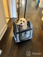 img 1 attached to 🐾 KOPEKS Deluxe Backpack Pet Travel Carrier with Double Wheels - Heather Pink - Airlines Approved: Comfortable & Convenient Pet Transport Solution review by Kenny Rossi