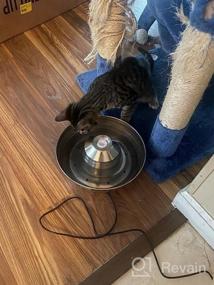 img 6 attached to Stainless Steel Cat Water Fountain - Low Noise, Multiple Pets Friendly, 2L/67Oz Capacity