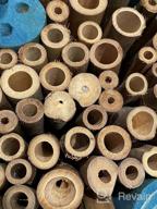 img 1 attached to FSC Certified Wood Mason Bee House For Solitary Bees - Attract Pollinators To Your Garden With Bamboo Tube Hotel. review by Allan Duman