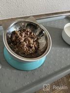img 1 attached to Stainless Steel Elevated Cat Bowl – Tilted Cat And Small Dog Food Bowls To Improve Digestion And Reduce Neck Strain – Easy-To-Clean Cat Feeder With Sturdy, Nonslip Base By AmazinglyCat review by Darby Perkins