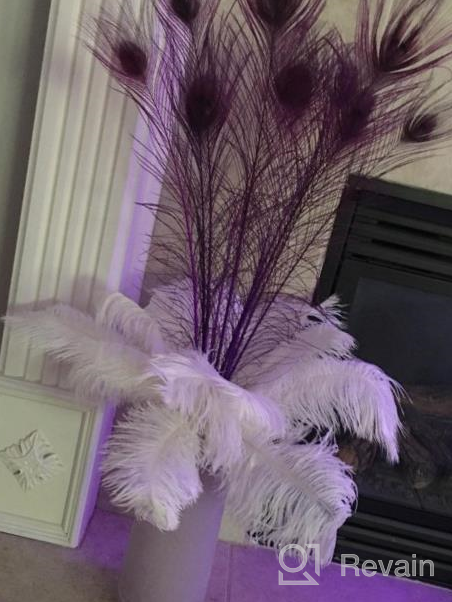 img 1 attached to 16-18 Inches (40-45Cm) Real Natural Ostrich Feathers Bulk White,Great Decorations For Christmas Halloween Home Party Wedding Centerpieces (White 10Pcs) review by Jessie Burgos