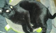 картинка 1 прикреплена к отзыву Reversible Cat Scratcher Cardboard Lounge Bowl Pad - Pawise Kitty Scratching Relaxing Pad от Dave Goodman