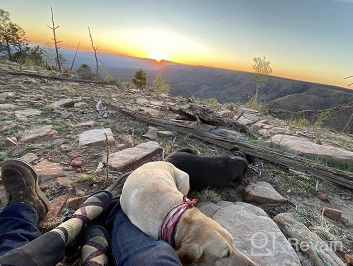 img 1 attached to Stay Comfortable On Every Hike With FEIDEER Women'S Multi-Pack Hiking Walking Socks review by Kristy Campos