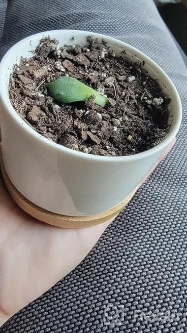 img 1 attached to 6 Small Ceramic Succulent Planter Pots With Drainage Hole & Bamboo Tray - White Porcelain Garden Decor For Home And Office (No Plants) review by Jeff Diaz